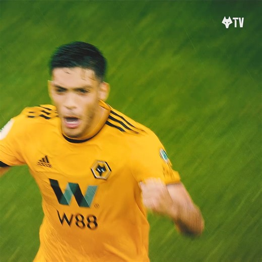 24K views · 992 reactions | Revisiting the first and last Wolves goals of a selection of our popular former players. ⚽️ | Wolverhampton Wanderers FC | Facebook