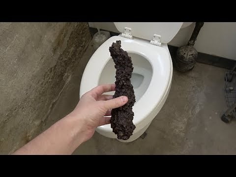 Whats inside Dinosaur Poop?