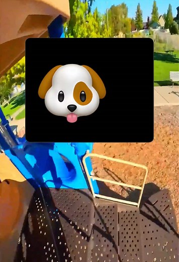 buldogtexts on TikTok