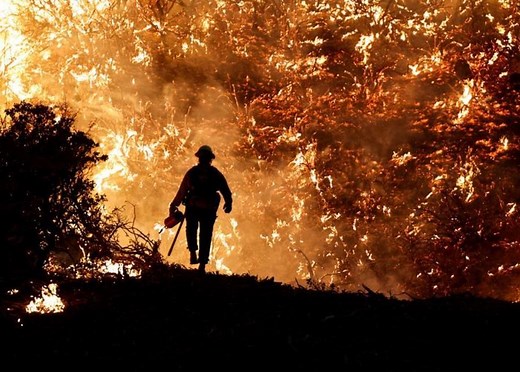 10 of the best environmental photographs from 2021