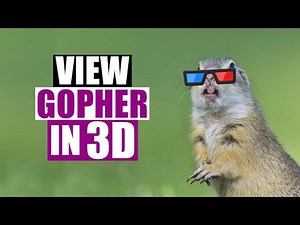View Gopherspace In 3D With GopherVR