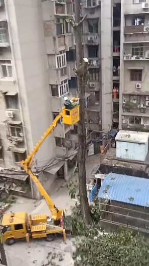 22K views · 301 reactions | Incredible Teamwork | Giant Machine | Facebook