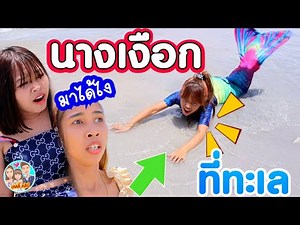 เจอนางเงือกที่ทะเลพัทยา ที่แท้คือ.....