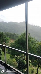 Sniker Sniker on Reels