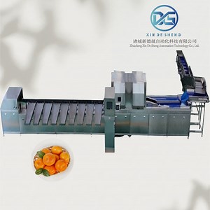 [Hot Item] Potato Sorting Machine, Automatic Optical Potato Sorter