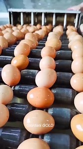 Amazing Technology Bread Making Machine !! | Mart Rey Galceran | Facebook