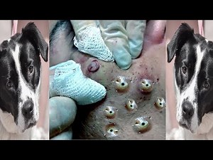 Progreso humano con sueños #QBS