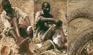 Man baits Anaconda using his legs!