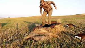 There is a reason why this blind is loved by so many people. Josh from @outdoor.limits gives the rundown on the Knockout Layout Blind. If you want to learn more, head over to fabrand.com #fabrand #finalapproach #waterfowl #duckhunting #hunting #waterfowlhunting #goosehunting #ducks | Final Approach Waterfowl