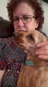 “Doug” the little cockapoo we took in is doing well with me here in foster care!! They had to shave him down to nothing, and make him look “not so cute” but the hair will grow in… See before photo in comments. | Cherished Cockers Rescue