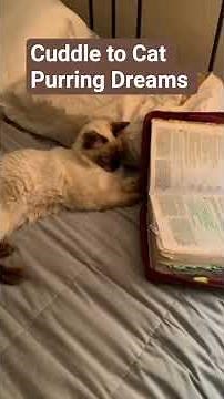 Soothing Relaxing Purring Cat Sound for Sleep