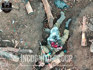 Russian cockroach dies slowly and torturously.