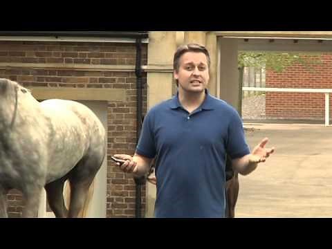 The Betfair iPhone App