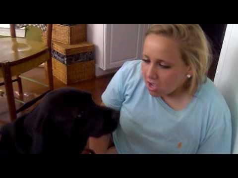 Nicole and Lexi~ Puppy love 2! Watch the whole thing!