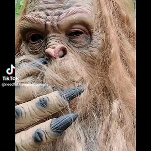 Sightings all over the area. | Vault Trove - Powered by Hobbies Shop