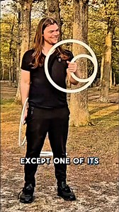 10K views · 1.3K reactions | I love Closed Circles . . . #flowarts #8rings #asmr #juggling #magic | Lars Matthew Rieck | Facebook
