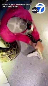 Group of hunters catch longest female Burmese python in Florida