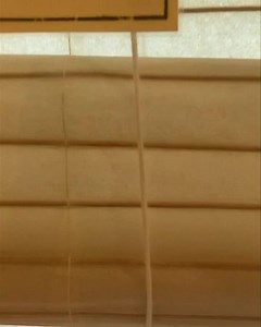 Fans of walking meditation at IMS are often well acquainted with the quiet delights of the Shanti House Walking room. 🪴☀️ | Insight Meditation Society