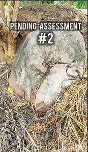 pending assessment #2 positive treasure site | Code Reader 金