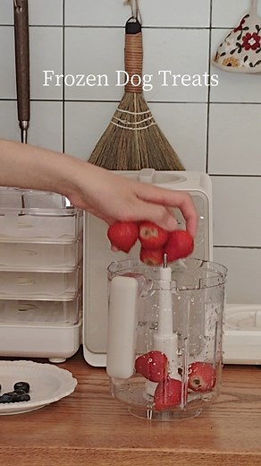 Frozen Dog Treats #pets #pettreats #dog #summer #homemade | Toptreesofficial