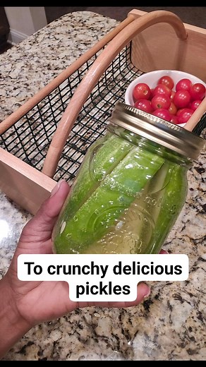 🥒 From Vine to Brine: Homemade Dill Pickles (step by step). Follow for pickles recipe #soilcousins 1. Wash & Trim Wash cucumbers thoroughly. Cut off ¼ inch from the blossom end of each cucumber. 2. Make the Brine In a saucepan, combine vinegar, water, salt, and sugar. Add in spices if desired. Bring to a boil, then reduce heat and simmer for 5 minutes. 3. Pack the Jars Place 1 garlic clove and fresh dill into each sterilized pint jar. Pack jars tightly with cucumbers (whole or sliced). 4. Add B