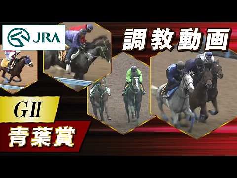 【調教動画】2026年 青葉賞｜JRA公式