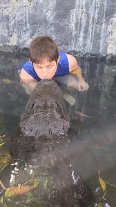 Casper the Friendly Alligator with Gatorboys Paul #alligator #Gators | Wild Charles