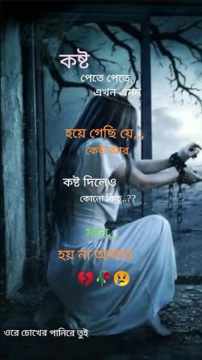 status Queen on TikTok