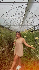 7.1K views · 610 reactions | Huyy ang ganda dito EMV Villa/EMV Flower Farm #Reckaa | Reckaaa | Facebook