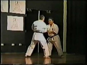 Higaonna Sensei & Sensei Lambert 1996 IOGKF demo