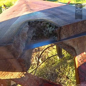 55K views · 747 reactions | Turning a Walnut LOG Into Lumber | Out of the Woods Forestry | Facebook