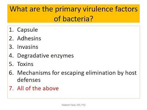 Mechanisms of bacterial pathogenesis