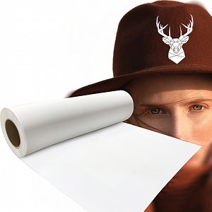 [Hot Item] Pet Direct to Film Printing Ink Powder A3 UV Print Dtf Film Roll