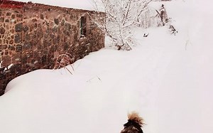 雪中马兰湾 美成了一幅画（上）