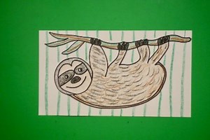 Let's draw a Sloth!