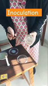 Inoculation process from any bacterial colony#microbiology#bacteriology#labtechniciancourse