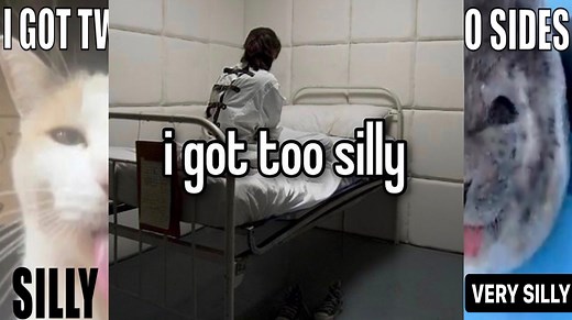 Being Silly / Too Silly | Know Your Meme