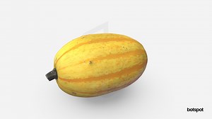 Delicata squash - 3D model by botspot (@botspot3d)
