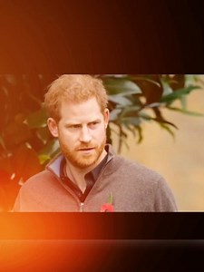 1K views · 19 reactions | Royal Bombshell: Tom Bower Exposes the Truth About Harry’s Children | Efdewe | Facebook