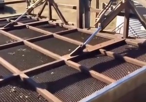 17K views · 61 reactions | Industrial Sheep Washing Machine!! #machine #industry | Magic | Facebook