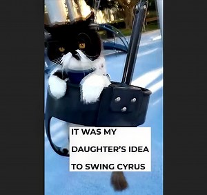 2.6K views · 1.3K reactions | Cyrus Swinging for the First Time circa May 2022  | Cyrus | Facebook