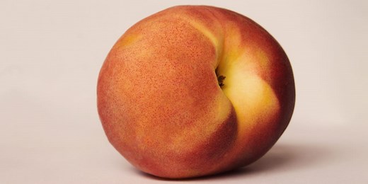 A Beginner’s Guide to Bottoming