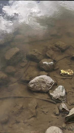 Cleaning the river and finding treasure! #cleaning #river #treasure | Gone Diggin