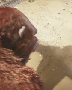 4.2K views · 531 reactions | Book now in IMAX to experience up to 26% more of the epic-team up between Godzilla and Kong  | ODEON Cinemas | Facebook