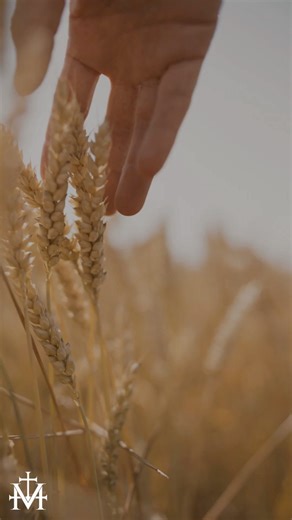 3K views · 46 reactions | Today is the 61st World Day of Prayer for...