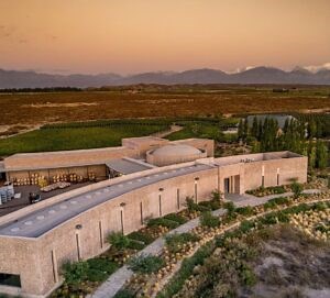 From Wine, with Love (Part 1) - Jamaica Observer