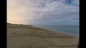 471 reactions · 192 shares | Sea turtle nesting season is here and...