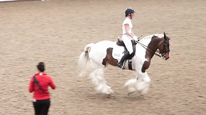 164K views · 1.4K reactions | Billy Whiz, the Advanced Dressage Cob, will be one of the horses joining us as a demo horse on the Improve Your Dressage Scores course! Click for more information! | DressageTraining.TV | Facebook