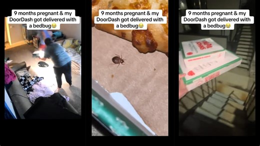 Pregnant Oklahoma Woman Races Out of Her Home With Her Papa John’s Order After Finding ‘Bedbug’ in Her Pizza: ‘Literally Got Goose Bumps’