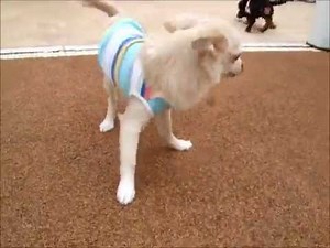 初めてのペットガーデン！